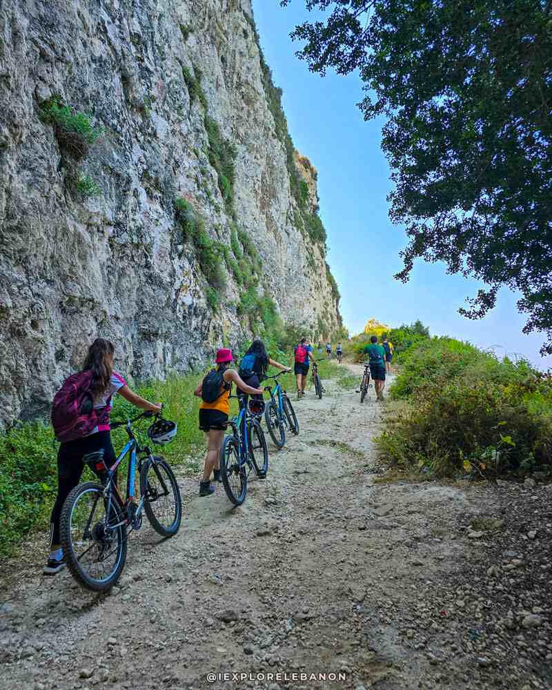 Group mountain biking on a forest trail in Lebanon during an outdoor cycling adventure